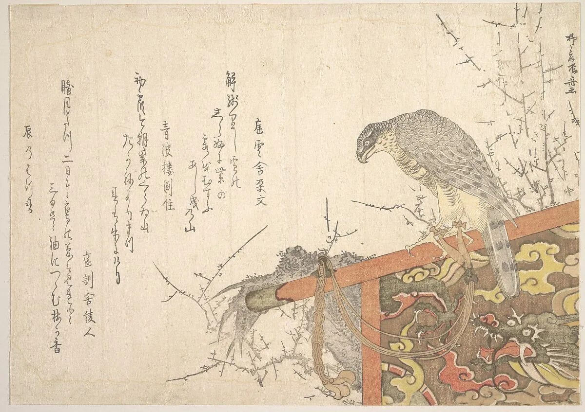 Untitled — Ryūryūkyo Shinsai