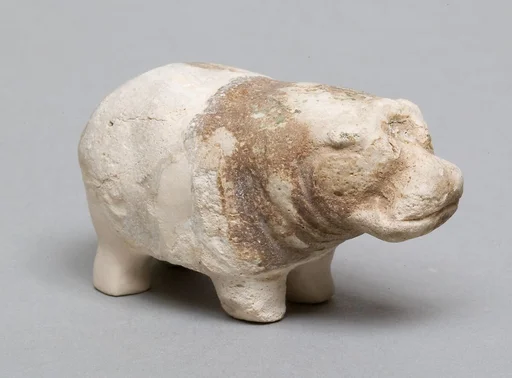 Hippopotamus
