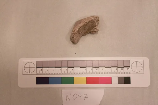 Stucco Fragment