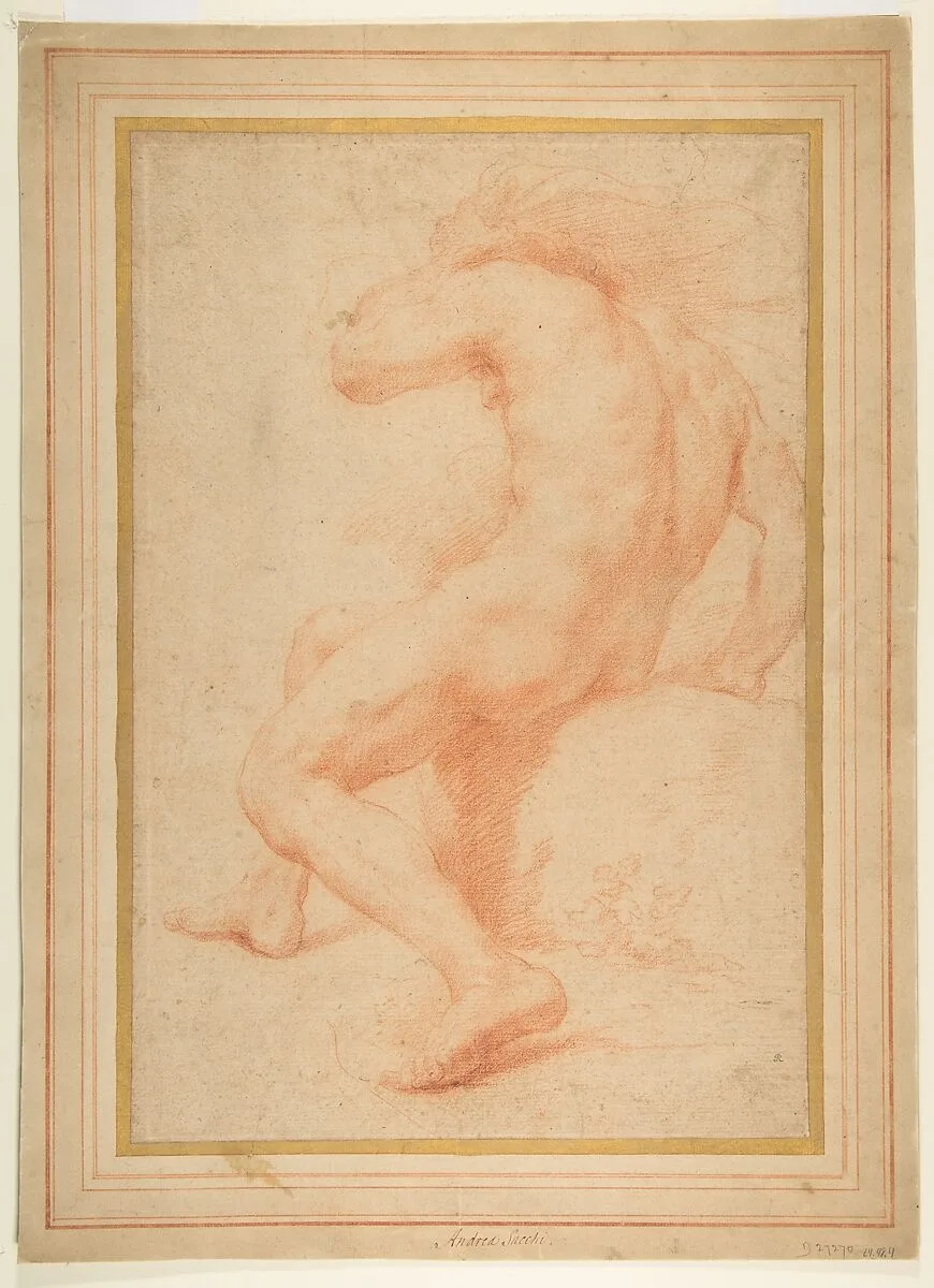 Back View of a Seated Male Nude — Andrea Sacchi