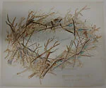 Mirror Thicket (Indoor or Outdoor) — Robert Smithson