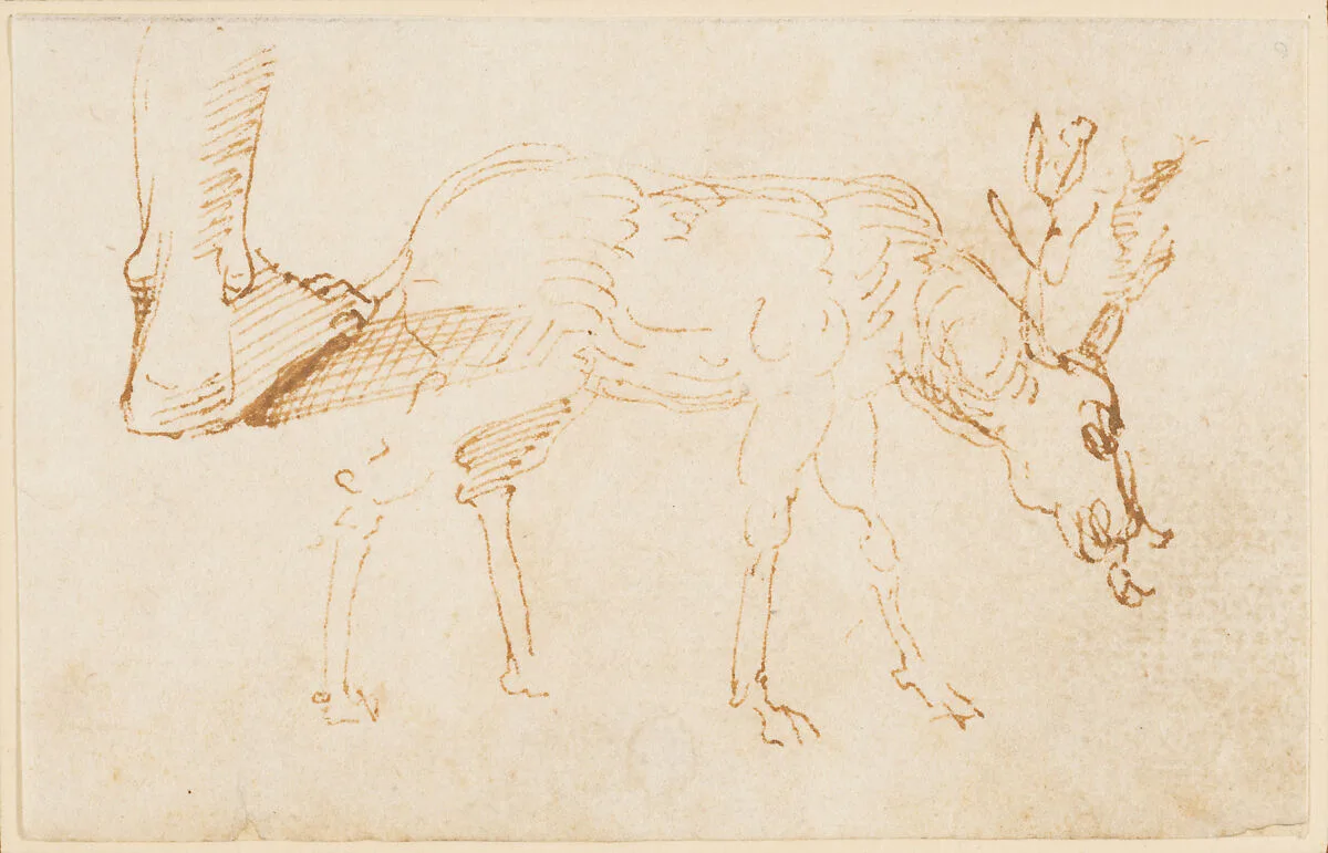 Studies of a Stag — Stefano da Verona (Stefano di Giovanni d'Arbosio di Francia)